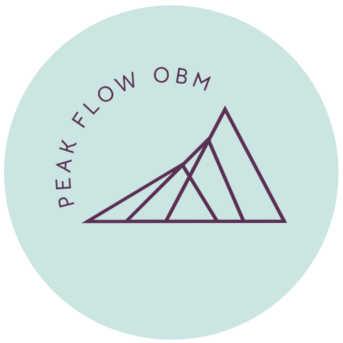 Peak Flow OBM Submark Logo Light Teal